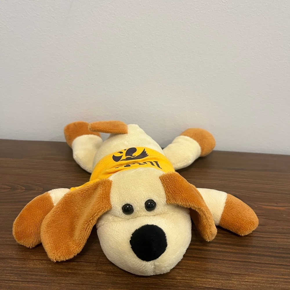 Iowa Hawkeyes Floppy Dog Plush